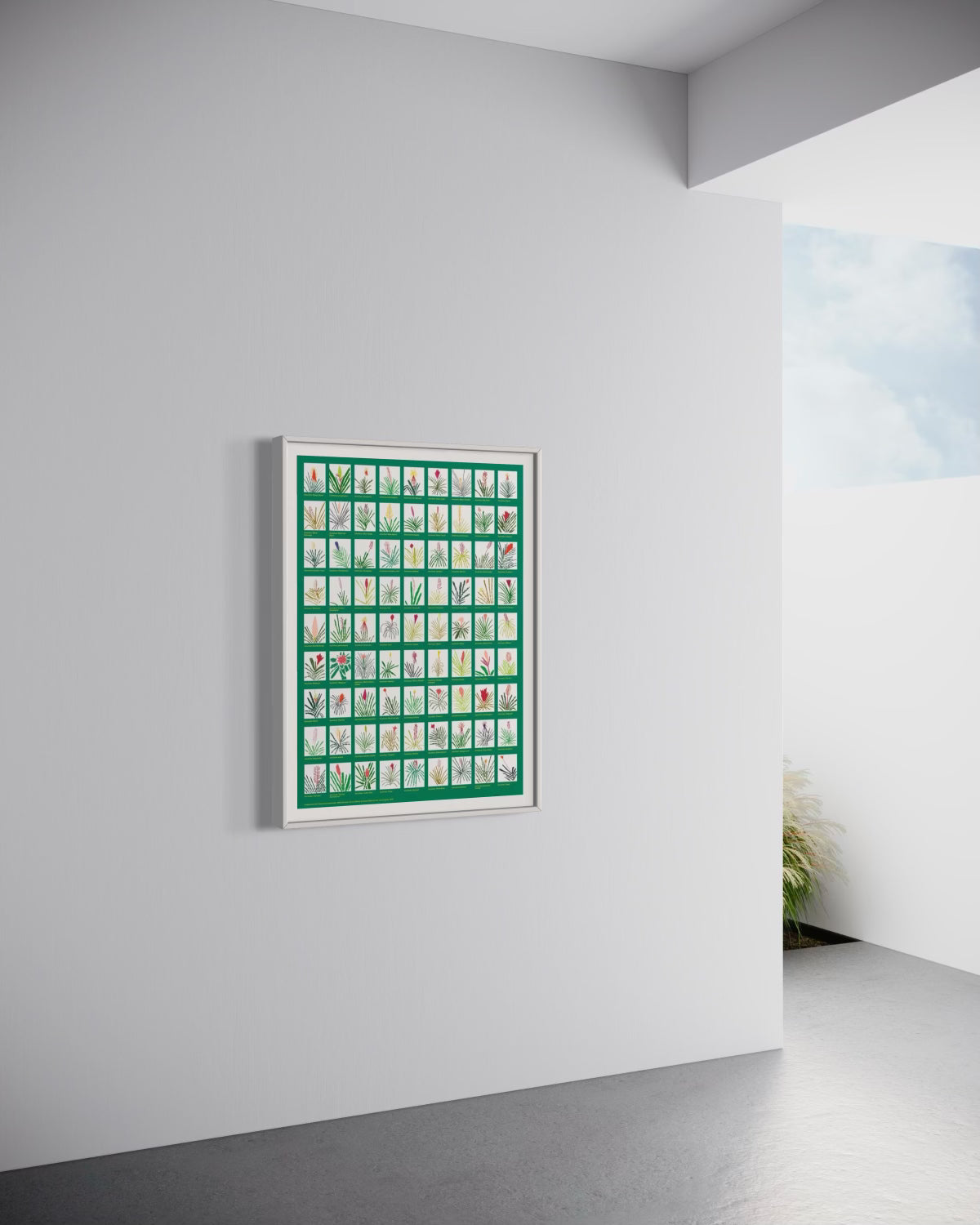 Aechmea Bromeliad Poster, 2022 by Jonas Wood