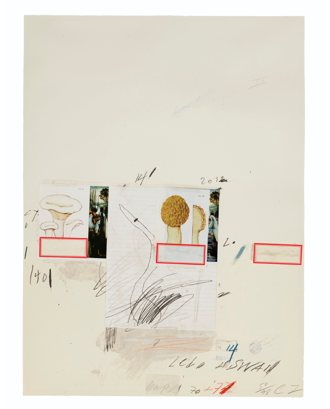 Plate I, from Natural History Part I: Mushrooms, 1974 by Cy Twombly