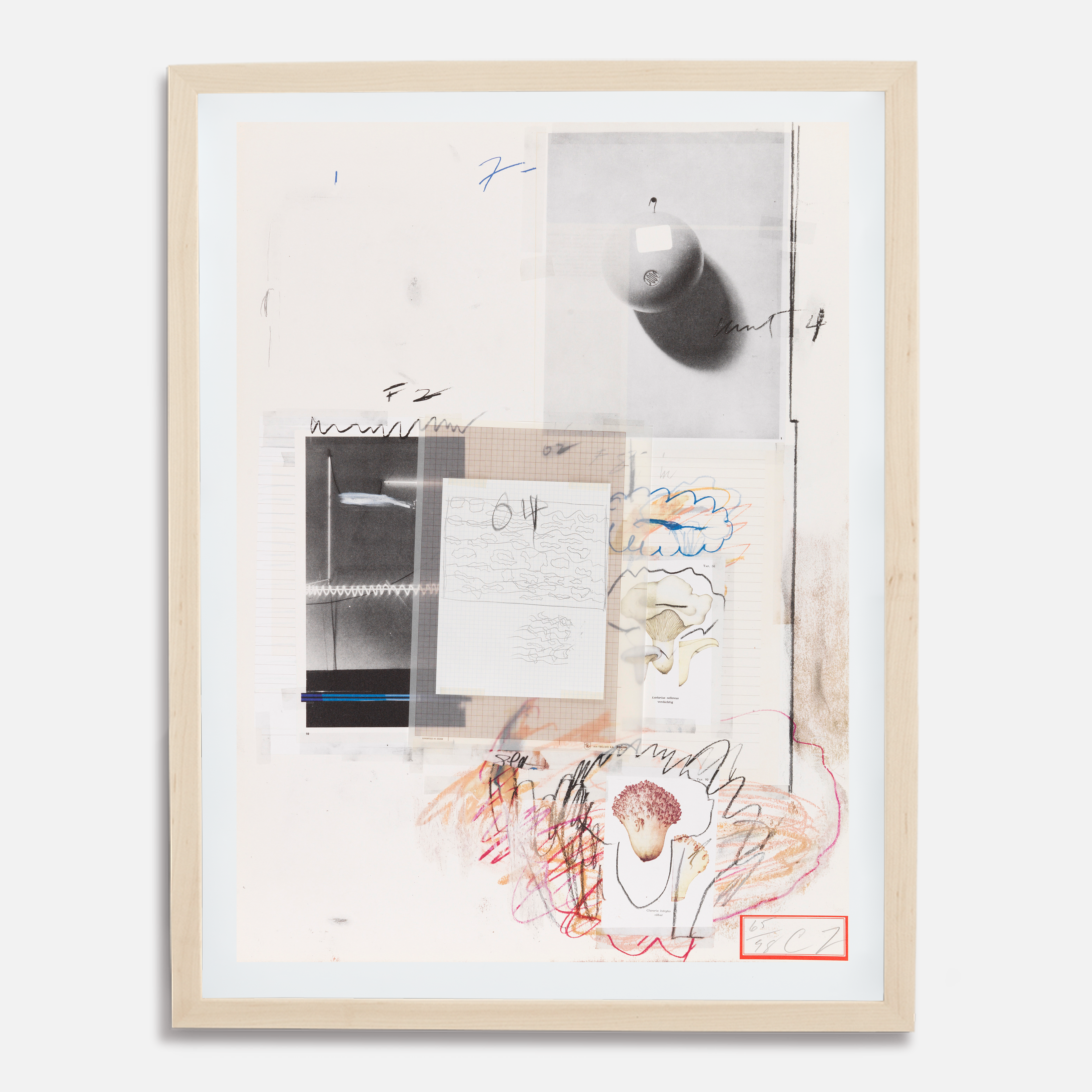 Plate VIII, from Natural History Part I: Mushrooms, 1974 by Cy Twombly