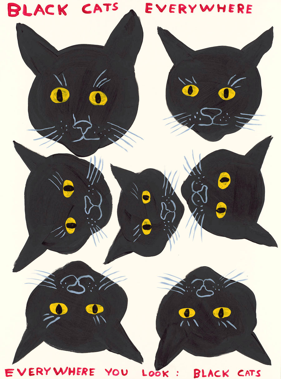 Black Cats Everywhere, 2021 by  David Shrigley