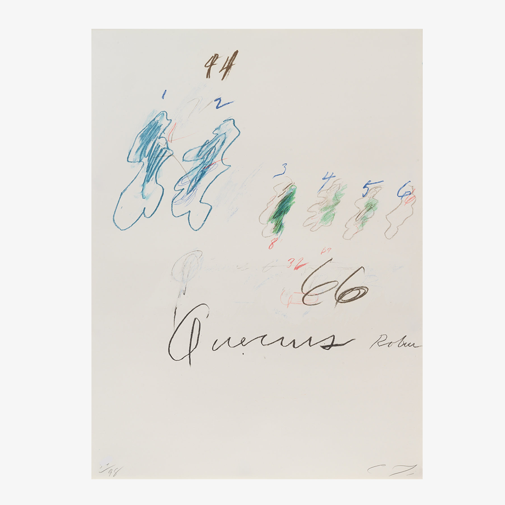 Natural History Part II: Some Trees of Italy (Quercus Robur), 1976 by  Cy Twombly