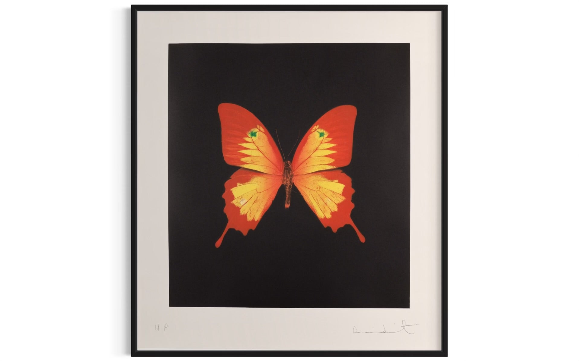 Red, Yellow Swallowtail and green spots (Unique), 2008