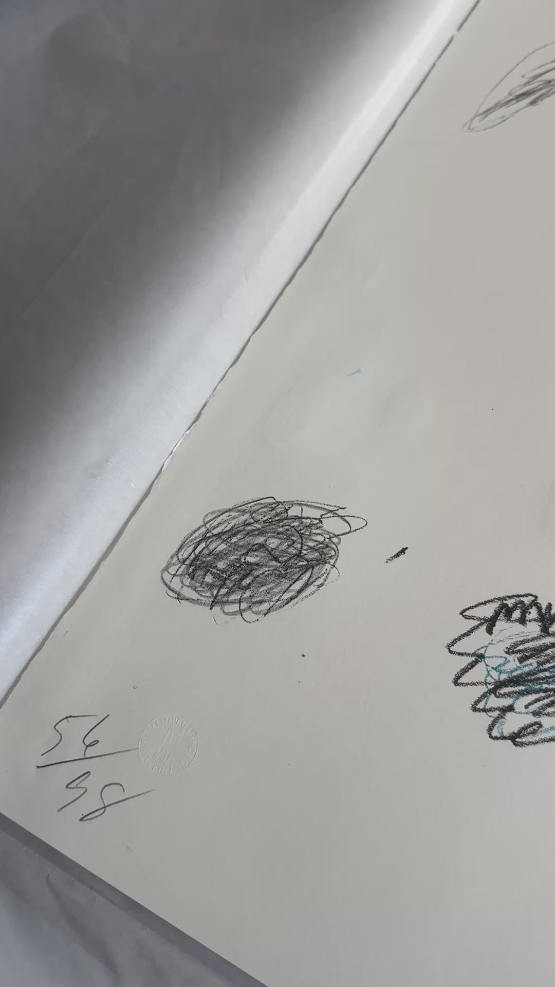 Castanea Sativa, from Natural History Part II: Some Trees of Italy, 1976 by Cy Twombly